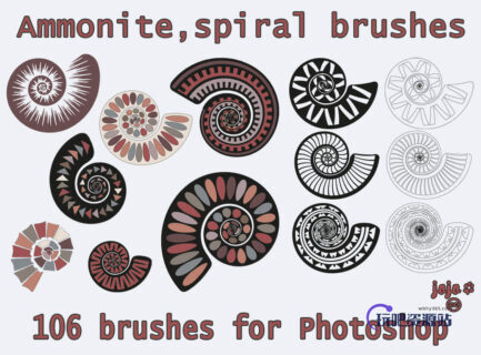 漂亮的蜗牛壳花纹图案PS笔刷素材-玩吧资源站