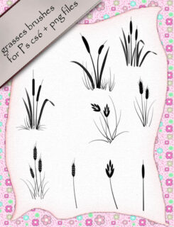 麦穗、野草图形Photoshop笔刷-玩吧资源站