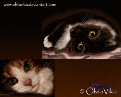 毛茸茸毛发、绒毛效果Photoshop笔刷素材-玩吧资源站