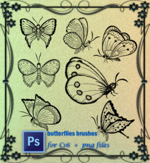 漂亮的蝴蝶图案Photoshop笔刷-玩吧资源站
