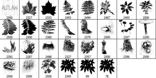 真实的树叶、绿叶Photoshop高清笔刷-玩吧资源站