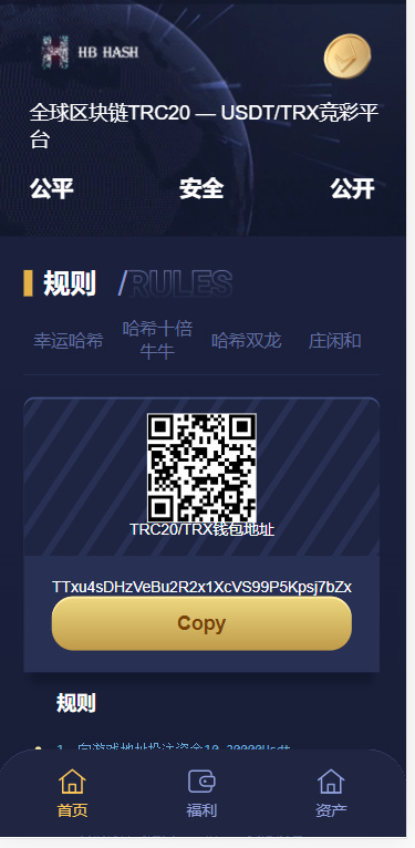 图片[2]-哈希竞猜源码四种玩法-玩吧资源站