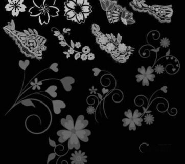 植物花纹与蕾丝花纹Photoshop笔刷-玩吧资源站