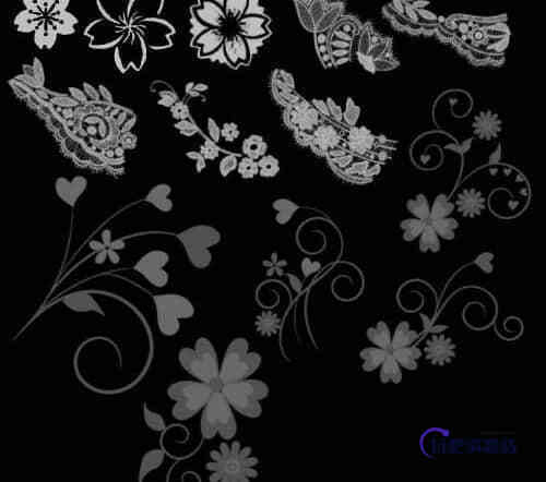 植物花纹与蕾丝花纹Photoshop笔刷