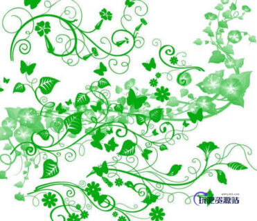 常青藤式植物花纹图案Photoshop笔刷素材-玩吧资源站