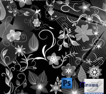 漂亮的植物花纹照片美图背景边框饰品PS笔刷 #.74-玩吧资源站