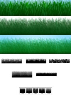 手绘青草Photoshop笔刷下载-玩吧资源站