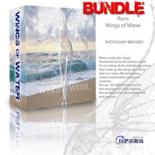 透明水翅膀、液体翅膀Photoshop笔刷素材-玩吧资源站