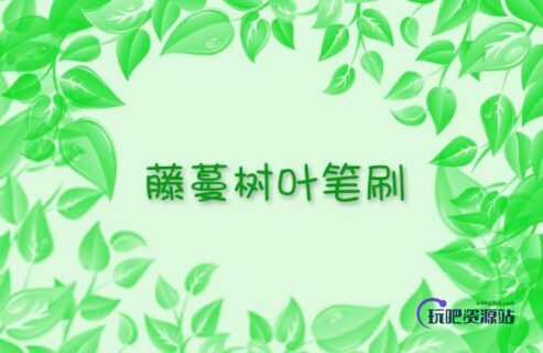 藤蔓树叶Photoshop笔刷-玩吧资源站