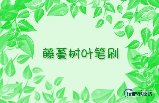 藤蔓树叶Photoshop笔刷