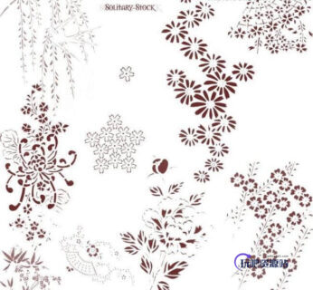 漂亮的植物花纹照片美图背景边框饰品PS笔刷 #.76-玩吧资源站