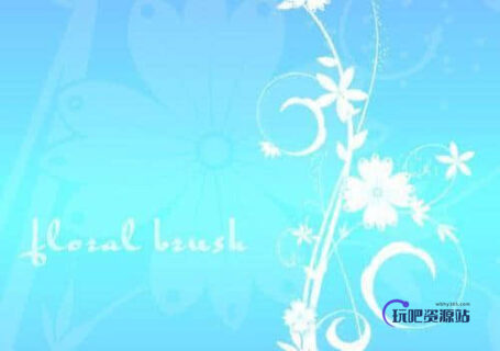 漂亮的植物花纹照片美图背景边框饰品PS笔刷 #.77-玩吧资源站