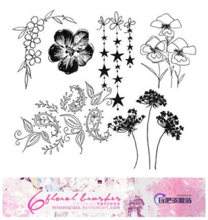 漂亮的植物花纹照片美图背景边框饰品PS笔刷 #.79-玩吧资源站