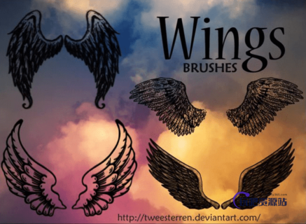 漂亮的手绘卡通翅膀素材PS笔刷下载-玩吧资源站