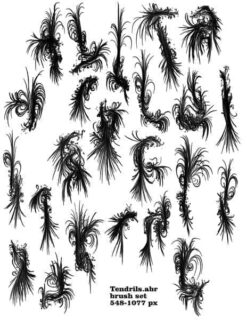 卷须式非主流花纹艺术Photoshop笔刷素材-玩吧资源站