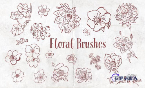 漂亮的手绘植物鲜花花朵图案PS笔刷下载-玩吧资源站