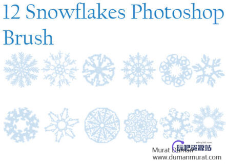 12种罗盘式雪花花纹图案、剪纸窗花PS笔刷素材-玩吧资源站