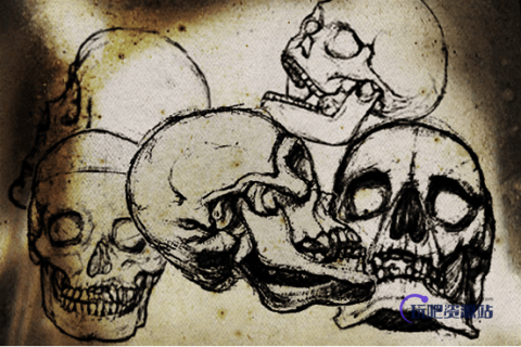 恐怖骷髅头素描图案PS笔刷-玩吧资源站