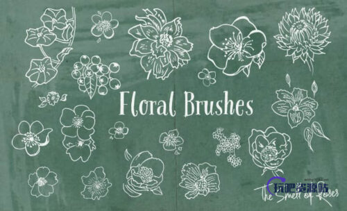 手绘盛开的鲜花花朵Photoshop笔刷-玩吧资源站