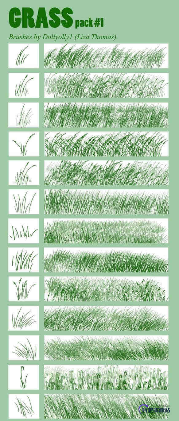 各式各样的青草、草丛效果PS画笔笔刷