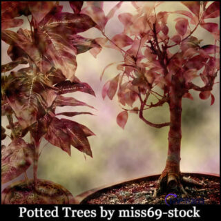 盆景植物树叶PS笔刷-玩吧资源站