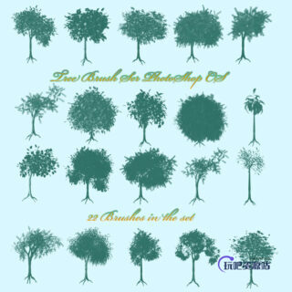 20种树木图形PS笔刷-玩吧资源站