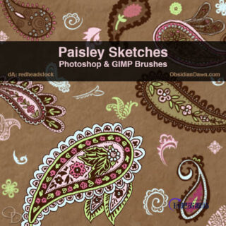 漂亮的佩斯利花纹Photoshop笔刷-玩吧资源站
