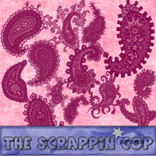 神奇的佩斯利花纹Photoshop笔刷下载-玩吧资源站