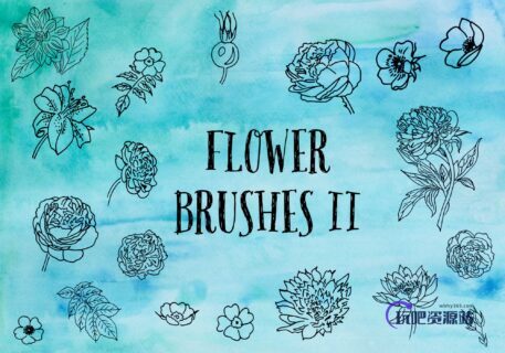 漂亮的手绘鲜花、线框式花朵PS笔刷下载-玩吧资源站