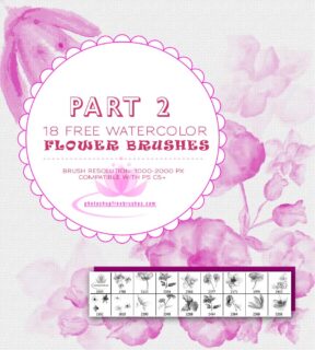 18种水彩、水粉花卉、鲜花绘画图形Photoshop笔刷 #.2-玩吧资源站