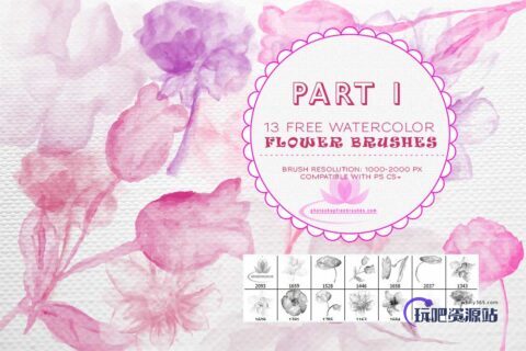 13种水彩、水粉花卉、鲜花绘画图形Photoshop笔刷 #.1-玩吧资源站