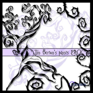 枯萎式荆棘藤蔓花纹Photoshop笔刷下载-玩吧资源站