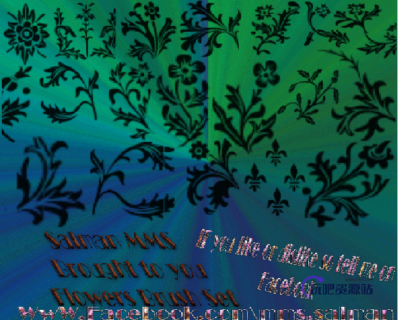 漂亮的西式鲜花花朵植物印花图案Photoshop笔刷-玩吧资源站