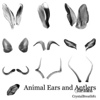 兔子耳朵、羊角、羚羊角、鹿角、猫耳朵Photoshop笔刷素材-玩吧资源站