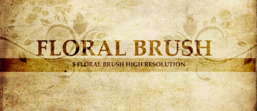 唯美经典的印花图案、墙壁花纹纹饰Photoshop笔刷-玩吧资源站