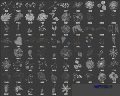 漂亮的水彩花朵、鲜花图案Photoshop笔刷素材包-玩吧资源站