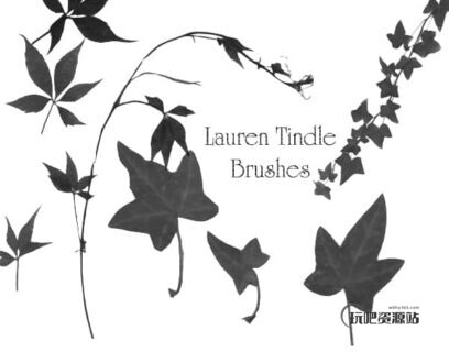 叶子、藤蔓Photoshop植物笔刷-玩吧资源站