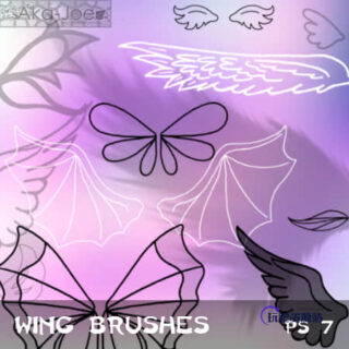 手绘卡通翅膀、蝙蝠翅膀、天使翅膀、蝴蝶翅膀Photoshop笔刷-玩吧资源站