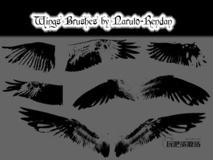 展翼的天使羽毛翅膀Photoshop笔刷-玩吧资源站