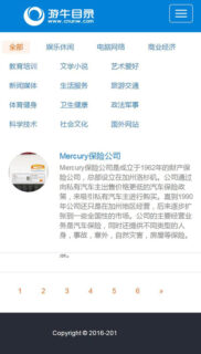 最新35dir内核仿制网站目录程序 自适应-玩吧资源站