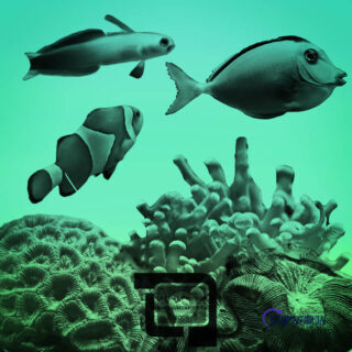 海洋鱼和珊瑚Photoshop笔刷-玩吧资源站