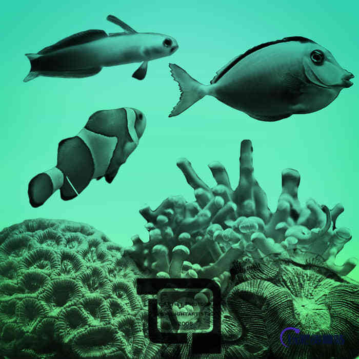 海洋鱼和珊瑚Photoshop笔刷