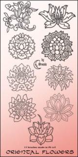 秀美的莲花图案艺术印花Photoshop笔刷素材-玩吧资源站