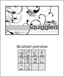 漂亮的植物花纹照片美图背景边框饰品PS笔刷 #.55-玩吧资源站