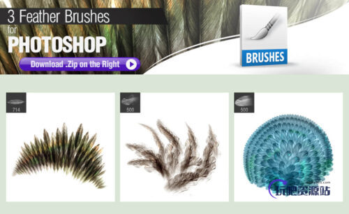 3种羽毛效果画笔Photoshop笔刷素材-玩吧资源站