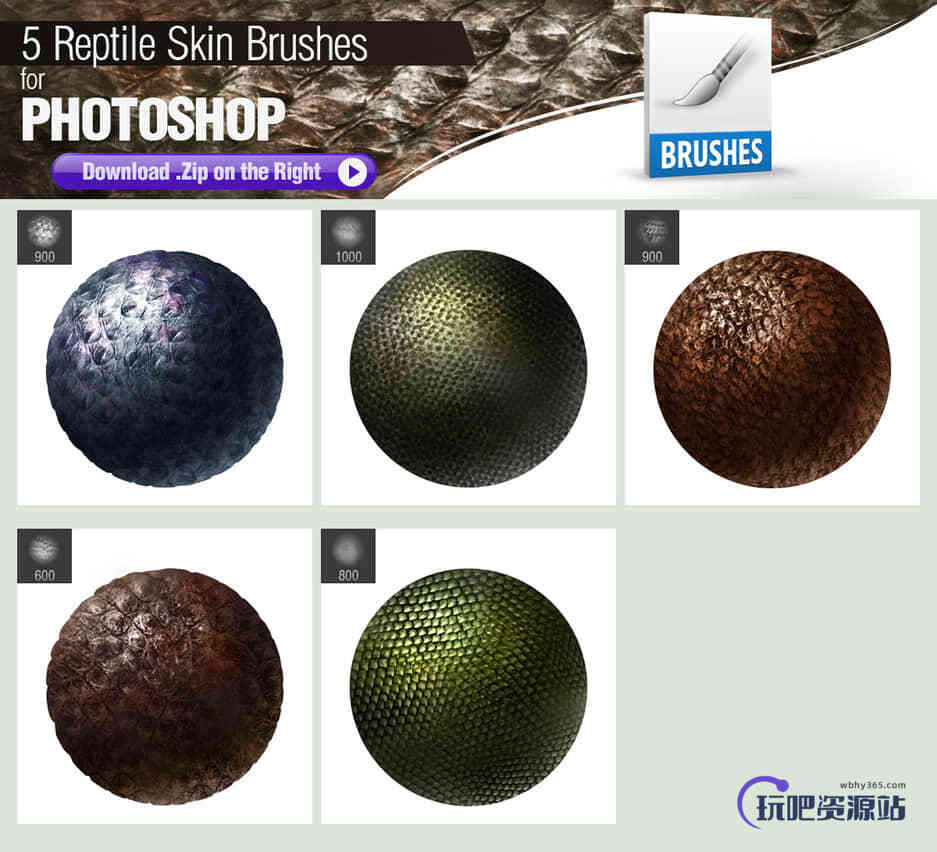 5种爬行动物皮肤纹理、鳞片、鳞甲蛇类皮肤材质Photoshop笔刷