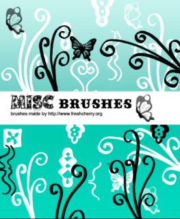 漂亮的植物蝴蝶艺术花纹、印花饰品PS笔刷下载-玩吧资源站