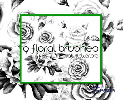 9中鲜艳的手绘玫瑰花图案PS笔刷-玩吧资源站