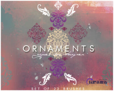 经典贵族式花纹图案PS笔刷素材下载-玩吧资源站