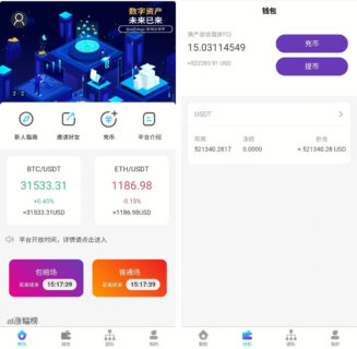 价值6千多的USDT竞猜盘源码+时间盘源码+多语言|带包赔等-玩吧资源站